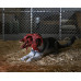 The Thing - Deluxe Ultimate Dog Creature