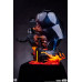 (PREVENTA) Star Wars A New Hope - Darth Vader Fine Art