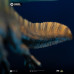 (PREVENTA) Jurassic Worl Evolution - Spinosaurus