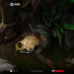 (PREVENTA) Predator - Jungle Hunter