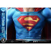 (PREVENTA) Superman (Comics) - Superman Fortress Of Solitude On Throne (Desing by Gabriele Dell'Otto) (Bonus Version)