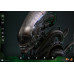(PREVENTA) Alien (1979) - Big Chap (R.H. Giger)