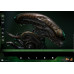 (PREVENTA) Alien (1979) - Big Chap (R.H. Giger)