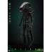 (PREVENTA) Alien (1979) - Big Chap (R.H. Giger)