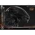 (PREVENTA) Alien Romulus - Scorched Xenomorph (Museum Masterline XL) (Deluxe Version)