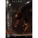 (PREVENTA) Alien Romulus - Scorched Xenomorph (Museum Masterline XL) (Deluxe Bonus Version)