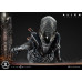 (PREVENTA) Alien Romulus - Scorched Xenomorph (Museum Masterline XL) (Regular Version)