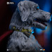 (PREVENTA) Superman (By James Gunn) - Superman & Krypto