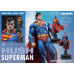 (PREVENTA) Dc Comics Man Of Steel 2000s - Superman (Hush Edition)