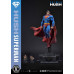 (PREVENTA) Dc Comics Man Of Steel 2000s - Superman (Hush Edition)