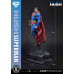 (PREVENTA) Dc Comics Man Of Steel 2000s - Superman (Hush Edition)