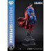 (PREVENTA) Dc Comics Man Of Steel 2000s - Superman (Hush Edition)