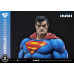 (PREVENTA) Dc Comics Man Of Steel 2000s - Superman (Hush Edition)