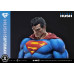 (PREVENTA) Dc Comics Man Of Steel 2000s - Superman (Hush Edition)