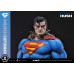 (PREVENTA) Dc Comics Man Of Steel 2000s - Superman (Hush Edition)