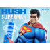 (PREVENTA) Dc Comics Man Of Steel 2000s - Superman (Hush Edition)