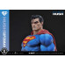 (PREVENTA) Dc Comics Man Of Steel 2000s - Superman (Hush Edition)
