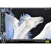 (PREVENTA) Saint Seiya - Pegasus Seiya (Final Bronze Cloth) (Bonus Version)