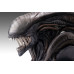 (PREVENTA) Alien - Scorched Xenomorph