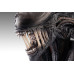 (PREVENTA) Alien - Scorched Xenomorph