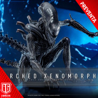 (PREVENTA) Alien Romulus - Scorched Xenomorph