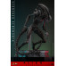 (PREVENTA) Alien Romulus - Scorched Xenomorph