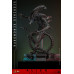 (PREVENTA) Alien Romulus - Scorched Xenomorph