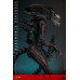 (PREVENTA) Alien Romulus - Scorched Xenomorph
