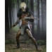 Prey - Ultimate Feral Predator