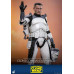 Star Wars The Clone Wars - Clone Commander Wolffe