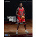 Collection NBA Chicago Bulls - Michael Jordan (Limited Edition)