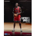 Collection NBA Chicago Bulls - Michael Jordan (Limited Edition)