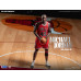Collection NBA Chicago Bulls - Michael Jordan (Limited Edition)