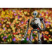 (PREVENTA) The Wild Robot - Roz