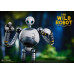 (PREVENTA) The Wild Robot - Roz