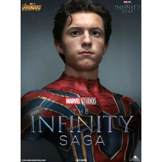 Marvel: The Avengers Infinity War - Iron Spider-Man