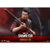 Shang-Chi and the Legend of the Ten Rings - Shang-Chi