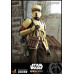 Star Wars The Mandalorian - Shoretrooper