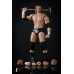 SH FIGUARTS TRIPLE H BAN DAI